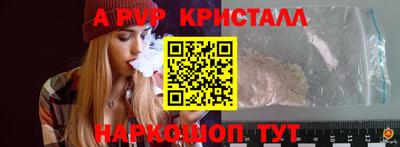 гашик Будённовск