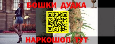 гашик Будённовск