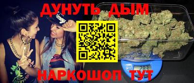 гашик Будённовск