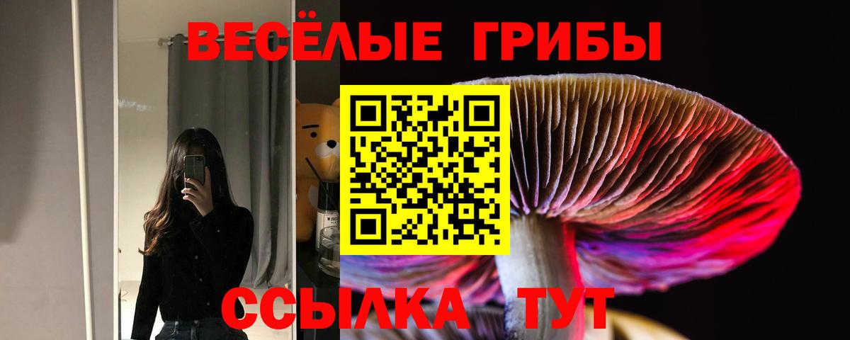 Усть-Лабинск  Псилоцибиновые грибы прущие грибы  Вход с VPN  Галлюциногенные грибы прущие грибы 